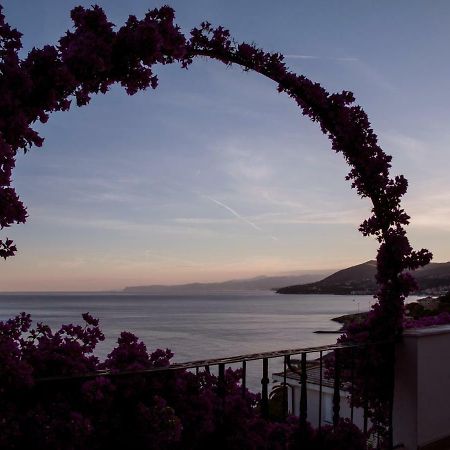 Villa Eliodora - Due Appartamenti Arenzano Eksteriør bilde