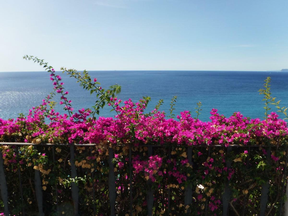 Villa Eliodora - Due Appartamenti Arenzano Eksteriør bilde